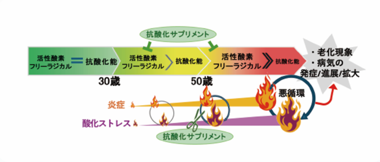 抗酸化サプリメントの必要性