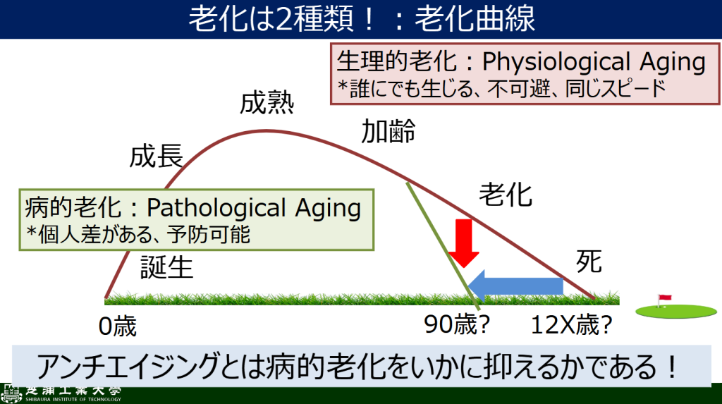 老化は2種類