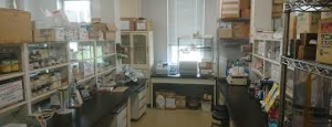芝浦工業大学システム理工学部生命科学科・分子細胞生物学研究室